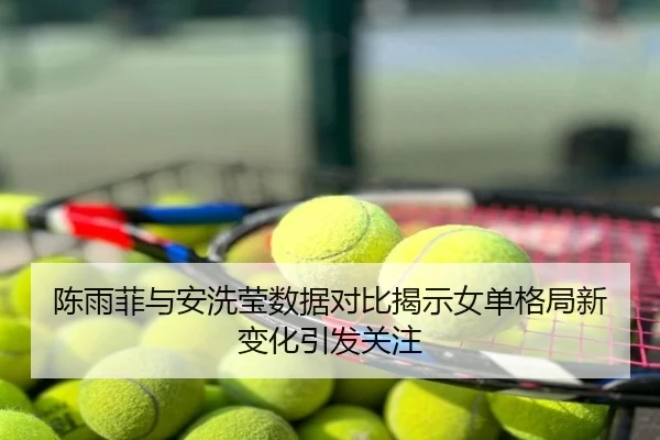 陈雨菲与安洗莹数据对比揭示女单格局新变化引发关注