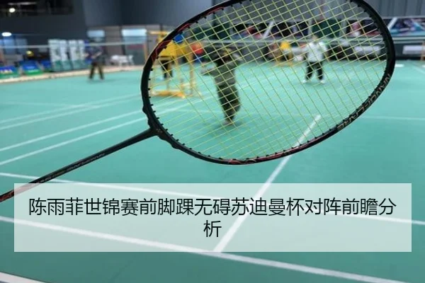 陈雨菲世锦赛前脚踝无碍苏迪曼杯对阵前瞻分析